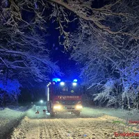 Baum auf Fahrbahn 1.jpg