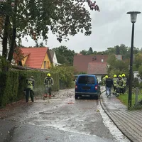 Baum_auf_Fahrbahn_Nussgraben.jpg