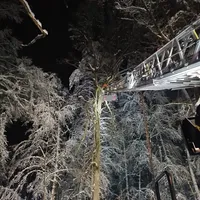 Baum auf Fahrbahn 6.jpg