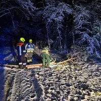 Baum auf Fahrbahn 5.jpg
